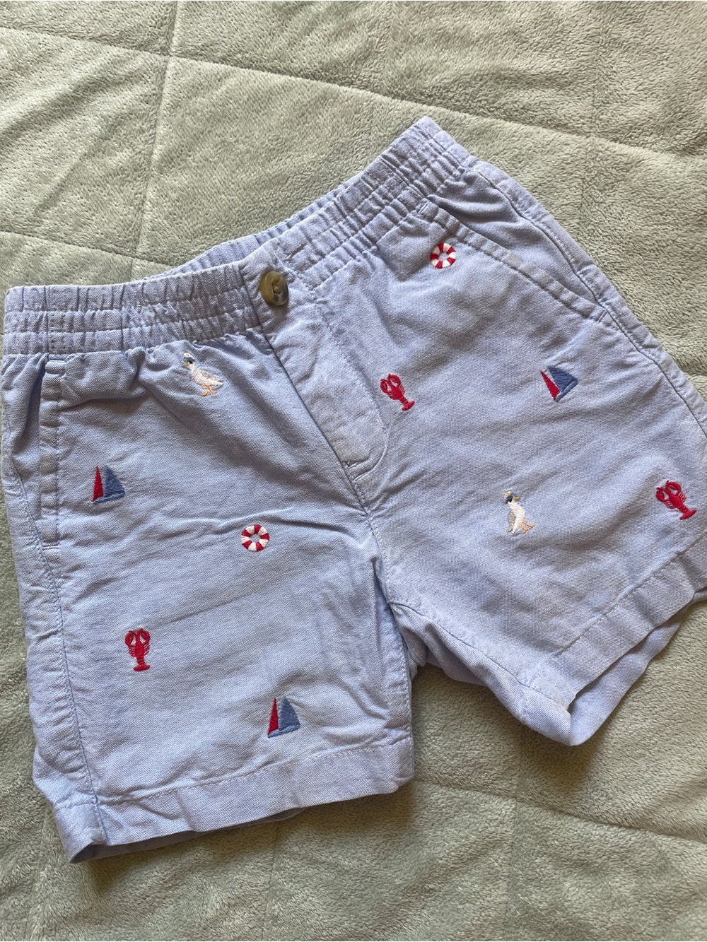 Janie and Jack Light Blue Nautical Embroidered Shorts